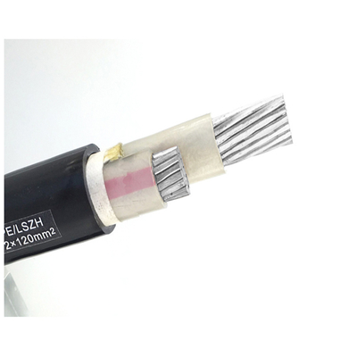 White/Black Versatile XLPE Insulated Power Cable for Broad Applications Yjy Yjv Wdz-Yjy Wdz-Yjv