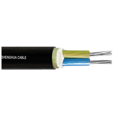 High Temperature Resistant XLPE Insulated Power Cable for Extreme Environments Yjy Yjv Wdz-Yjy Wdz-Yjv 1.1*1.1*0.98m