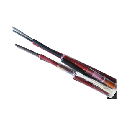                    High Capacity High Temperature Cable for Power Intensive Applications             