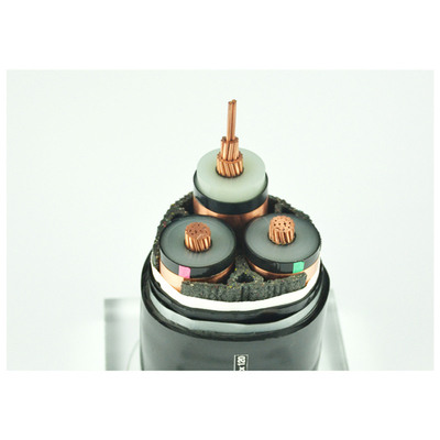                    Different Sizes Armored Cables for Distribution Worldwide             